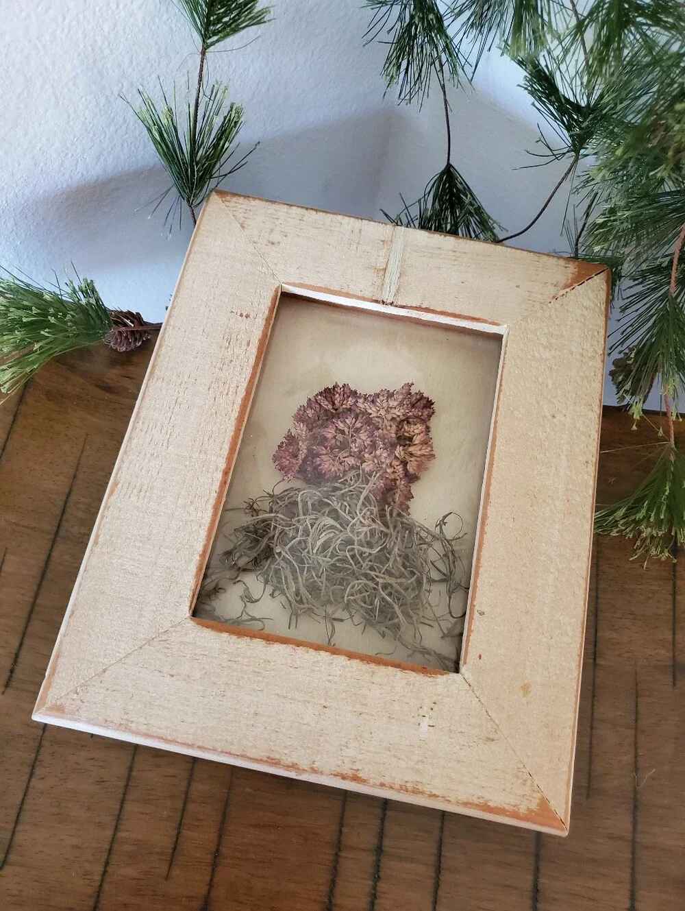 Rustic Framed Dried Pink Flower Shadow Box Botanical Wall Art 8x10